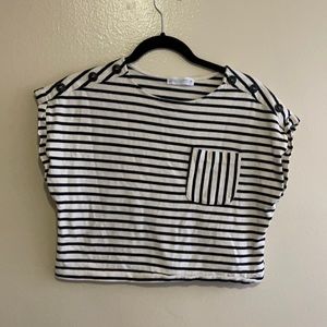 Zara crop top